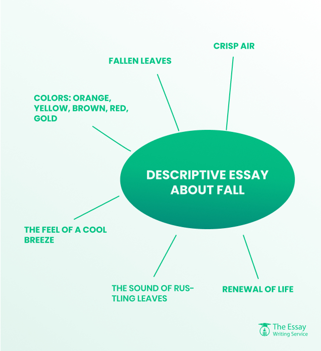 Descriptive Essay